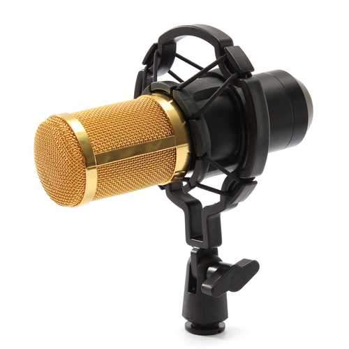 BM800 Recording Dynamic Condenser Microphone with Shock Mount